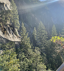 <img alt="The evening sun on filtered by trees in Yosemite National Park.">